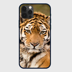 Чехол для iPhone 12 Pro Тигр бывалый