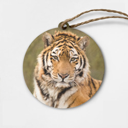 Деревянная игрушка круг Тигр бывалый