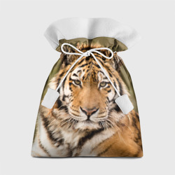 Подарочный 3D мешок Тигр бывалый