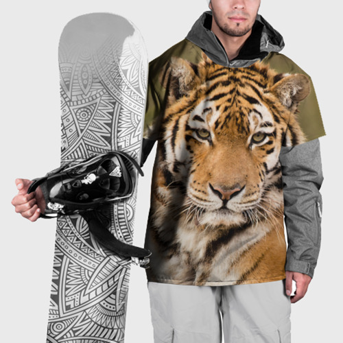 Накидка на куртку 3D Тигр бывалый