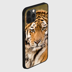 Чехол для iPhone 12 Pro Max Тигр бывалый - фото 2
