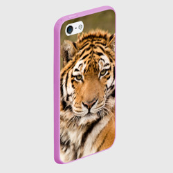 Чехол для iPhone 5/5S матовый Тигр бывалый - фото 2