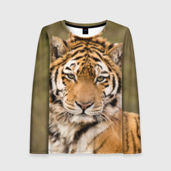 Женский лонгслив 3D Тигр бывалый