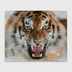 Плед 3D Тигр молодой агрессивный