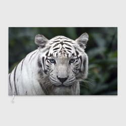Флаг 3D Белый тигр