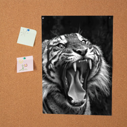 Постер Тигр  зевает - фото 2