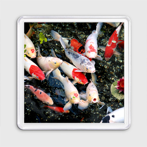 Магнит 55*55 Koi Fish карпы кои