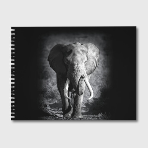 Elephant go go