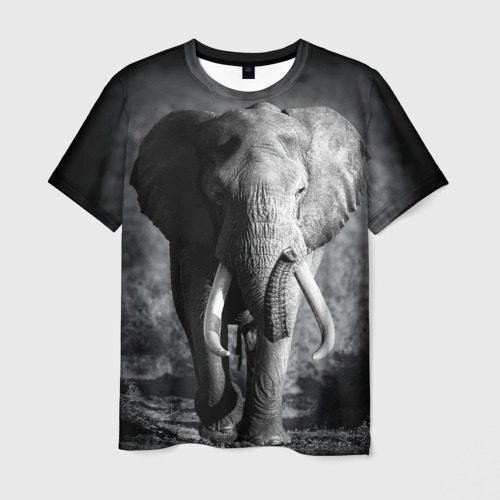 Мужская футболка с принтом Слон, вид спереди №1