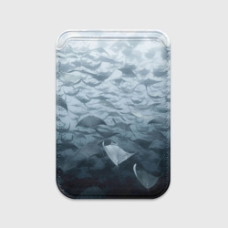 Картхолдер Magsafe магнитный Электрические скаты