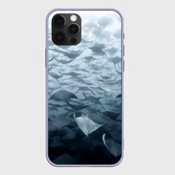 Чехол для iPhone 12 Pro Электрические скаты