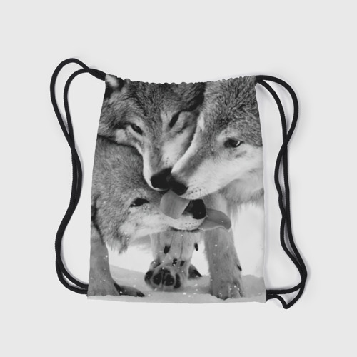 Рюкзак-мешок 3D Волчья семья - фото 7