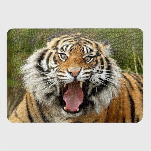 Картхолдер с принтом Тигр возмущенный, цвет черный - фото 4
