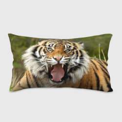 Подушка 3D антистресс Тигр возмущенный