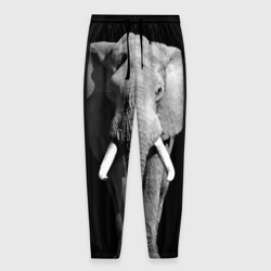 Мужские брюки 3D Слон