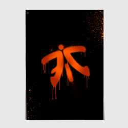 Постер Cs:go - Fnatic Black collection