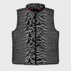 Мужской жилет утепленный 3D Joy Division. Unknown Pleasures