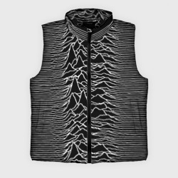 Мужской жилет утепленный 3D Joy Division. Unknown Pleasures