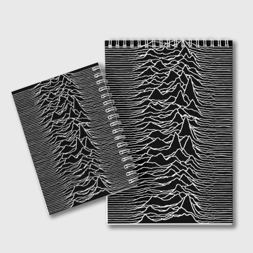 Блокнот Joy Division. Unknown Pleasures - фото 2