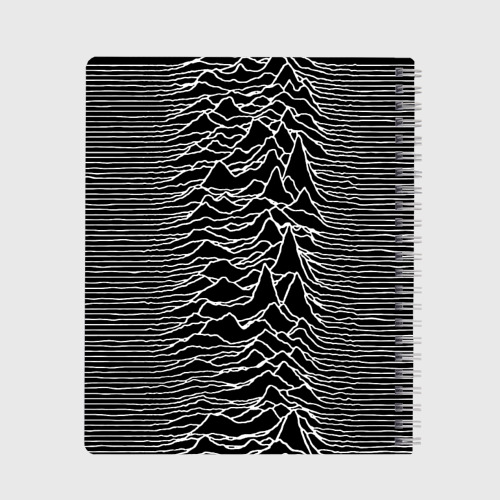 Тетрадь Joy Division. Unknown Pleasures - фото 2