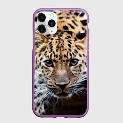Чехол для iPhone 11 Pro матовый Леопард