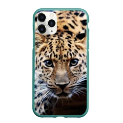 Чехол для iPhone 11 Pro Max матовый Леопард