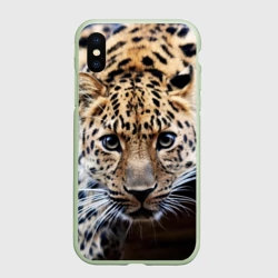 Чехол для iPhone XS Max матовый Леопард