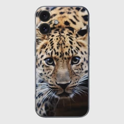 Чехол для iPhone 16 силиконовый с защитой камеры Леопард