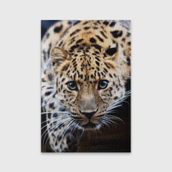 Обложка для паспорта матовая кожа Леопард