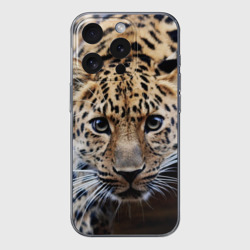Чехол для iPhone 15 Pro Max силиконовый с защитой камеры Леопард
