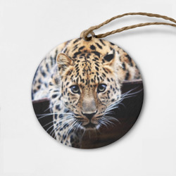 Деревянная игрушка круг Леопард