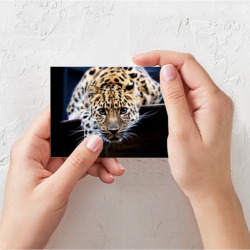 Поздравительная открытка Леопард - фото 2