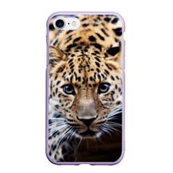 Чехол для iPhone 7/8 матовый Леопард
