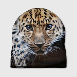 Шапка 3D Леопард