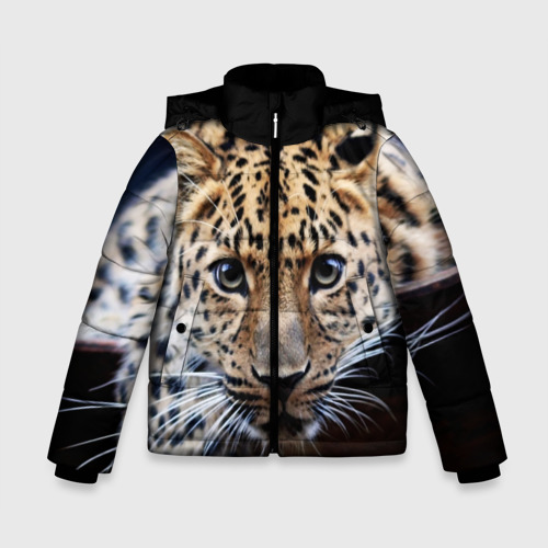 Зимняя куртка для мальчиков 3D Леопард, цвет черный