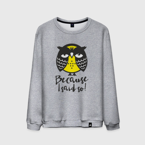 Мужской свитшот хлопок Owl. Because I said so!, цвет меланж