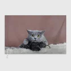 Флаг 3D Котик фотограф