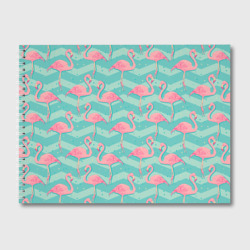 Альбом для рисования Flamingo