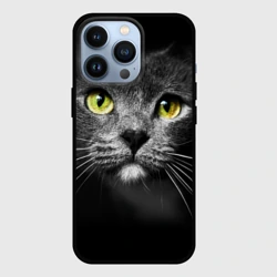 Чехол для iPhone 13 Pro Кошачий взгляд