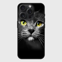 Чехол силиконовый для Apple iPhone 15 Pro матовый Кошачий взгляд