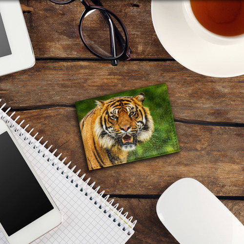 Обложка для студенческого билета Тигр, цвет бирюзовый - фото 3