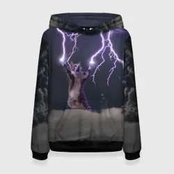 Грозовой кошак