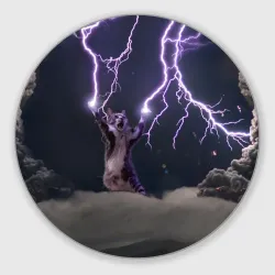 Грозовой кошак