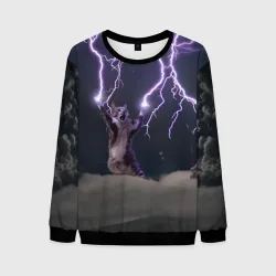 Грозовой кошак