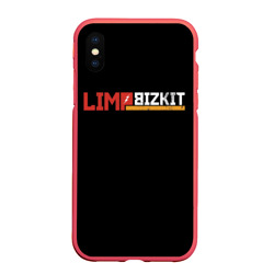 Чехол для iPhone XS Max матовый Limp Bizkit