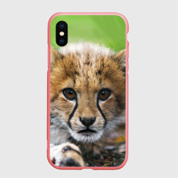Чехол для iPhone XS Max матовый Котёнок гепарда
