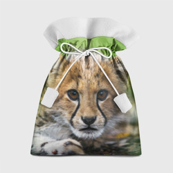 Подарочный 3D мешок Котёнок гепарда
