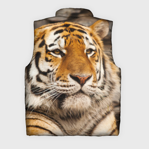 Мужской жилет утепленный 3D Тигр, цвет черный - фото 2