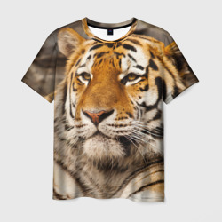 Тигр – Мужская футболка 3D с принтом купить со скидкой в -26%