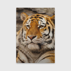 Обложка для автодокументов Тигр